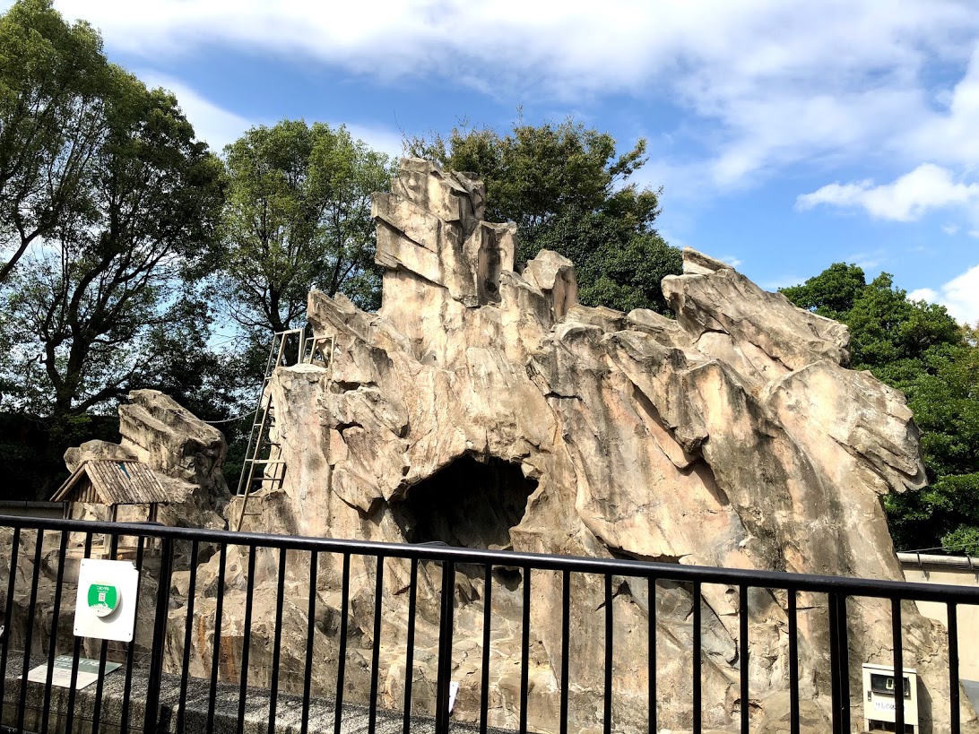 上野動物園-サル山