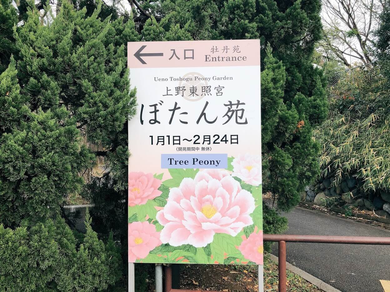 上野東照宮-ぼたん苑