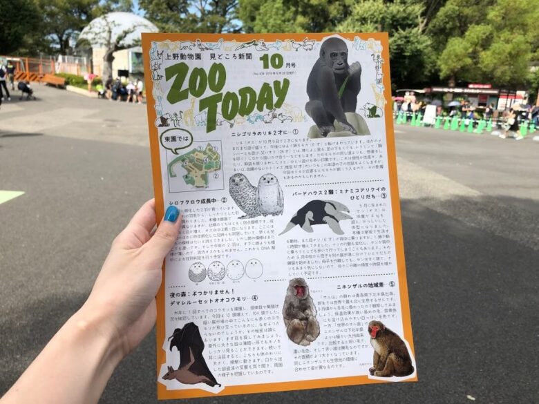 ZOOTODAY10月号