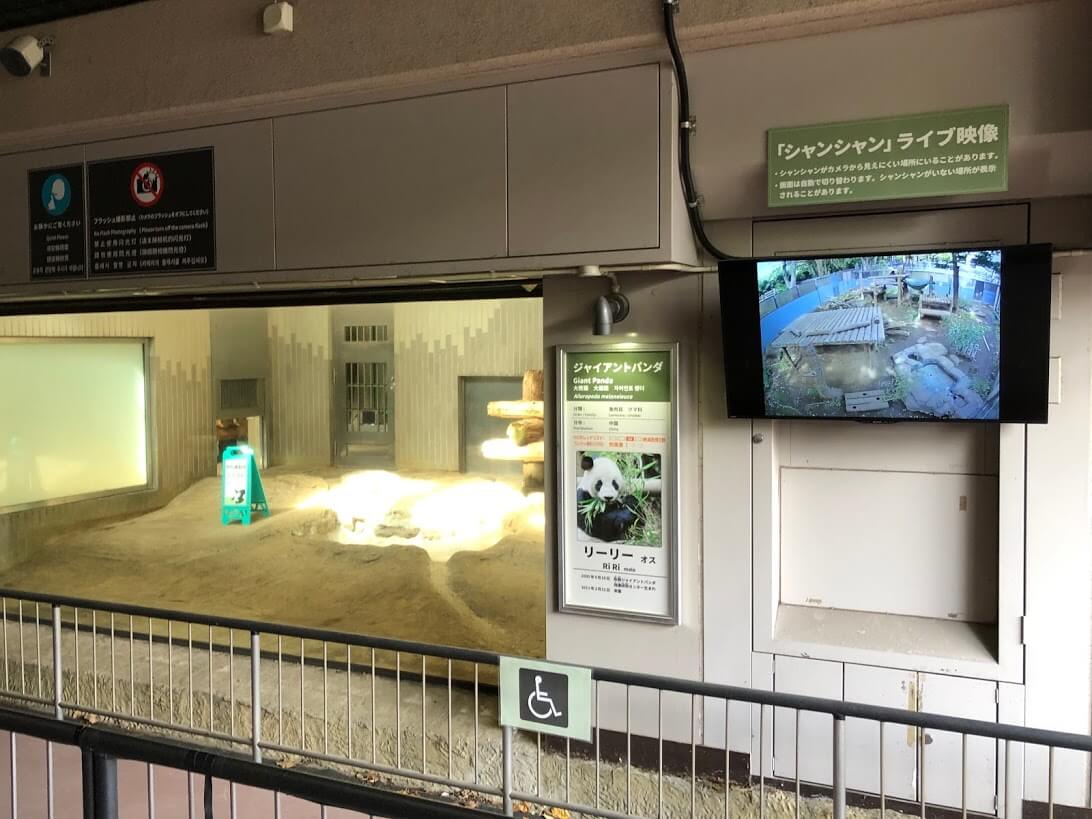 上野動物園-パンダ