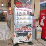 昆虫食自動販売機-アメ横